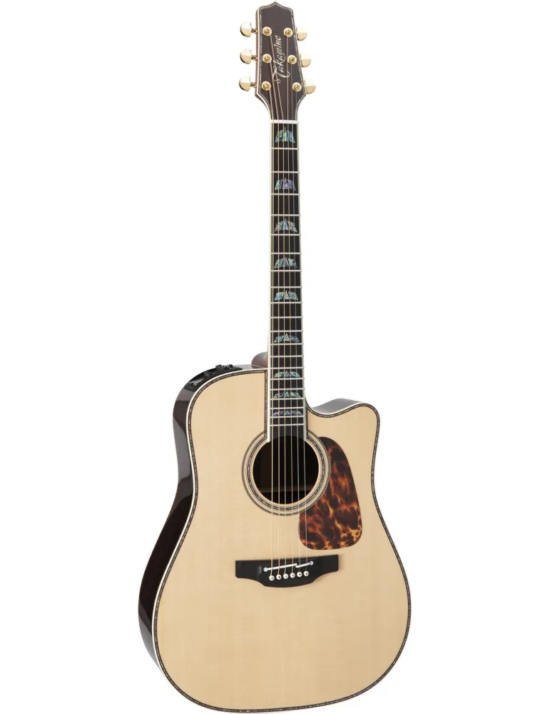 TAKAMINE P10DC | MusicGoodDeal