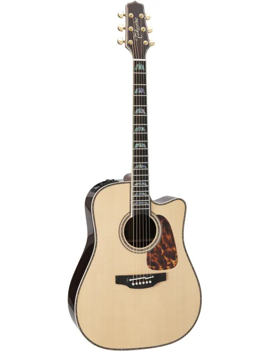 TAKAMINE P10DC | MusicGoodDeal