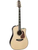 TAKAMINE P10DC | MusicGoodDeal