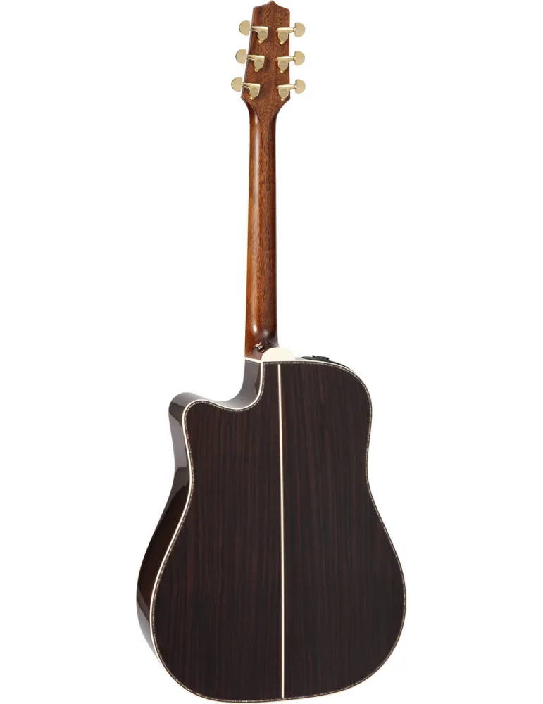 TAKAMINE P10DC | MusicGoodDeal