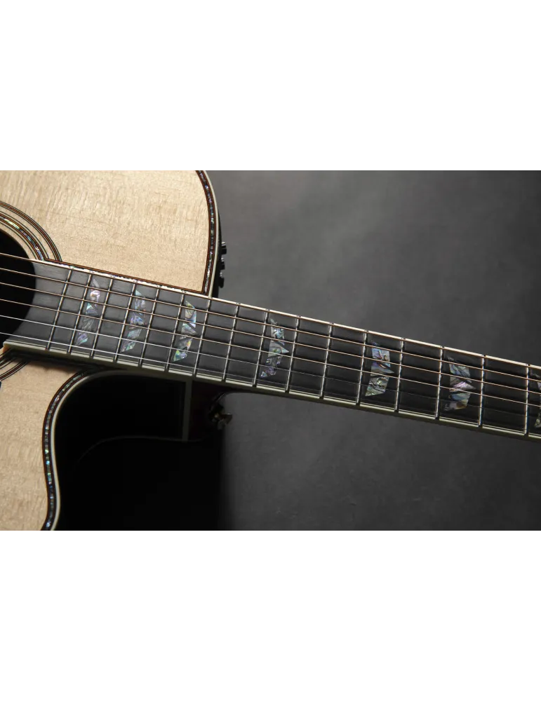 TAKAMINE P10DC | MusicGoodDeal