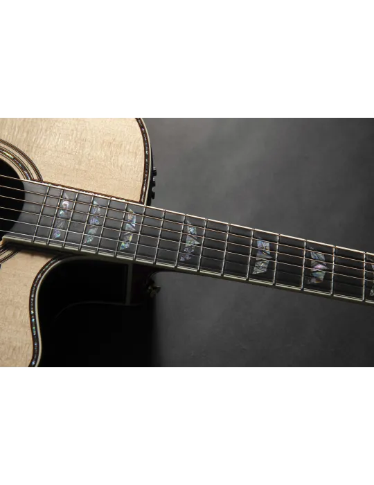 TAKAMINE P10DC | MusicGoodDeal