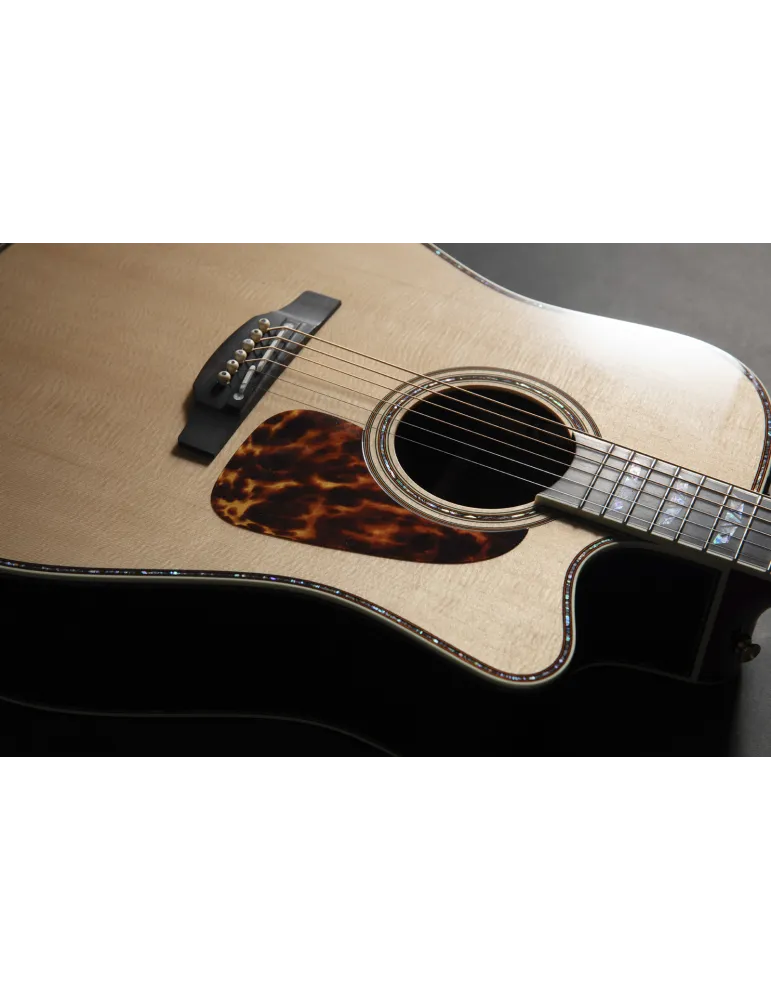 TAKAMINE P10DC | MusicGoodDeal