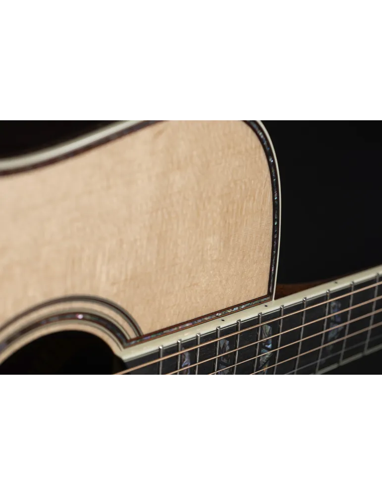 TAKAMINE P10DC | MusicGoodDeal