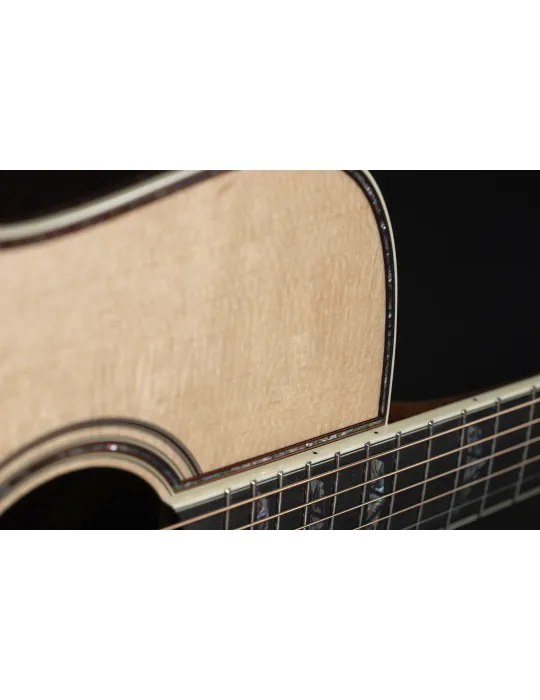 TAKAMINE P10DC | MusicGoodDeal