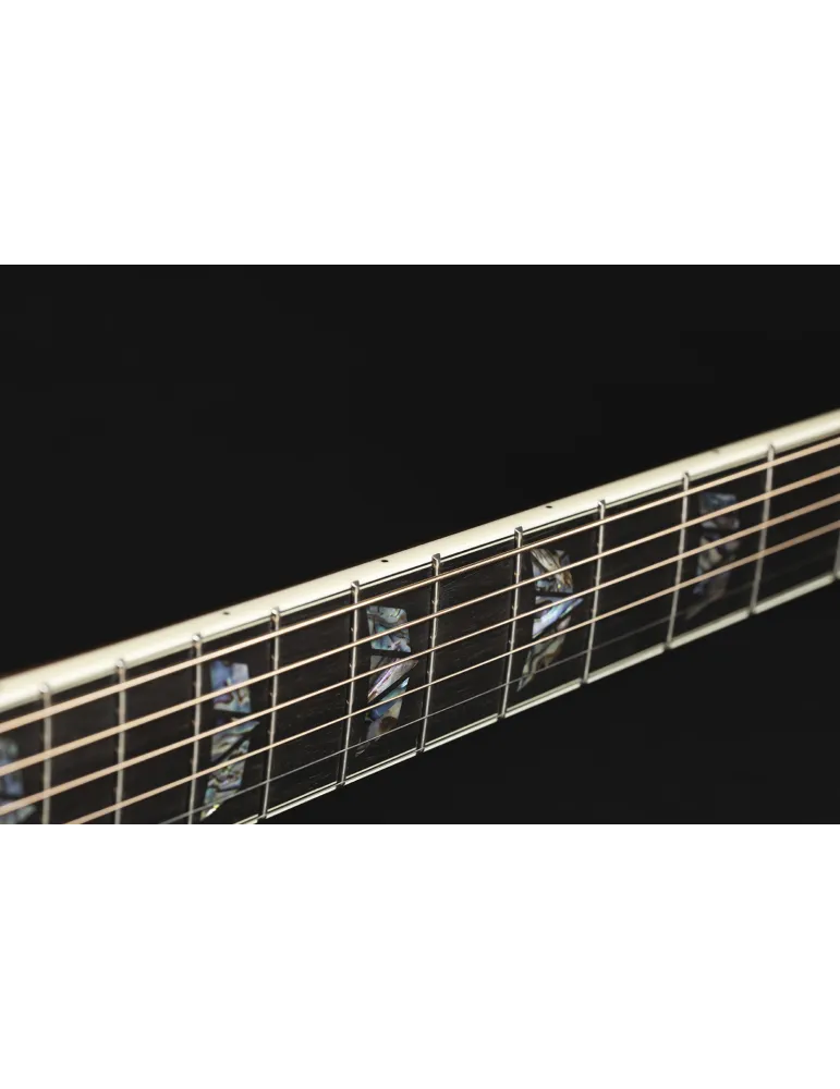 TAKAMINE P10DC | MusicGoodDeal