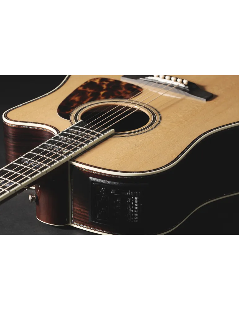 TAKAMINE P10DC | MusicGoodDeal