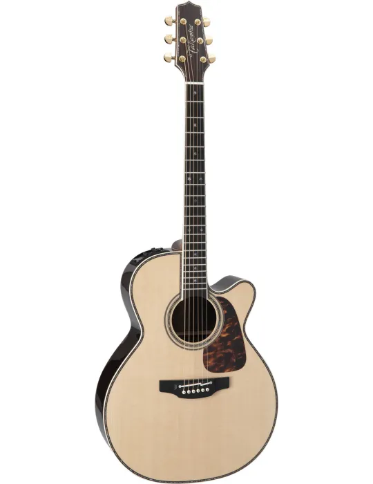 TAKAMINE P10NC | MusicGoodDeal