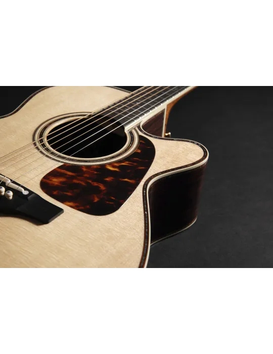 TAKAMINE P10NC | MusicGoodDeal