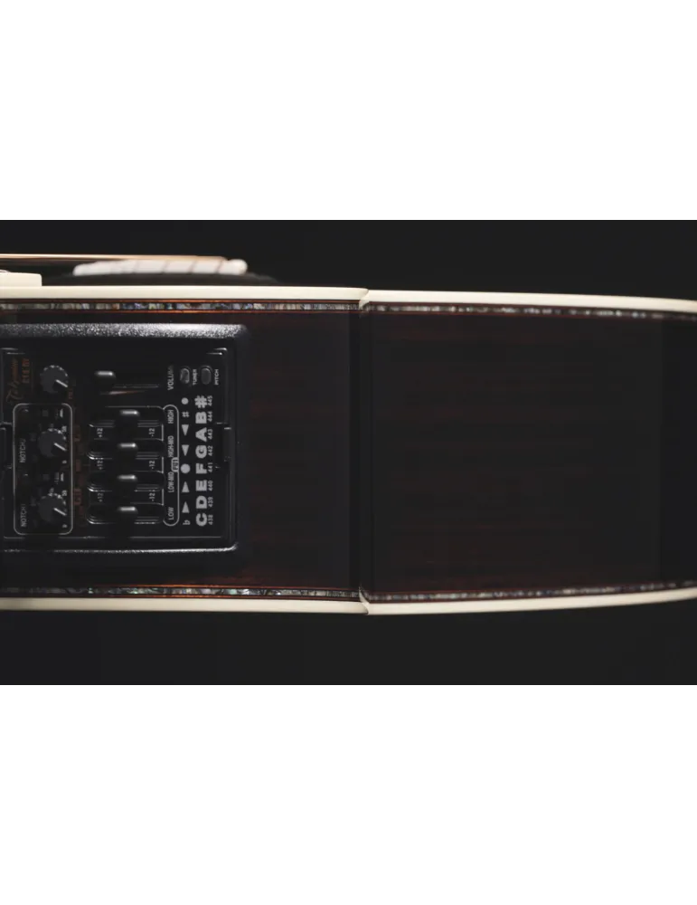 TAKAMINE P10NC | MusicGoodDeal