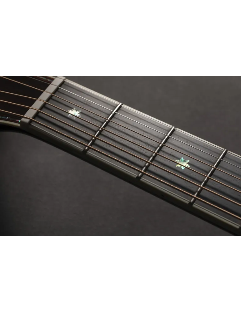 TAKAMINE P10NC | MusicGoodDeal