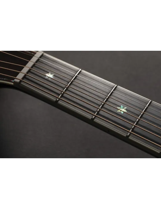 TAKAMINE P10NC | MusicGoodDeal