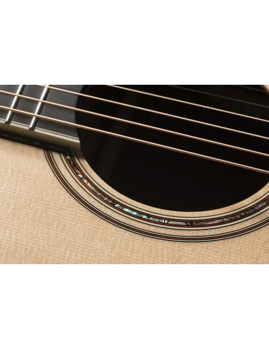TAKAMINE P10NC | MusicGoodDeal