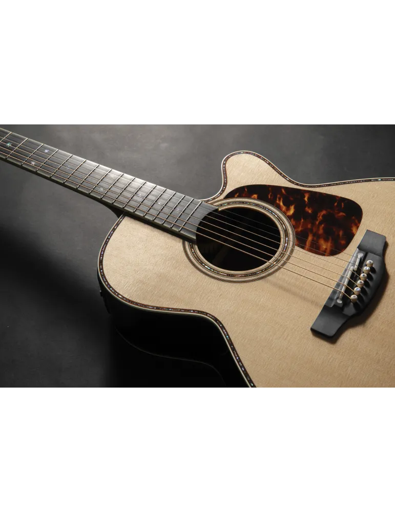TAKAMINE P10NC | MusicGoodDeal