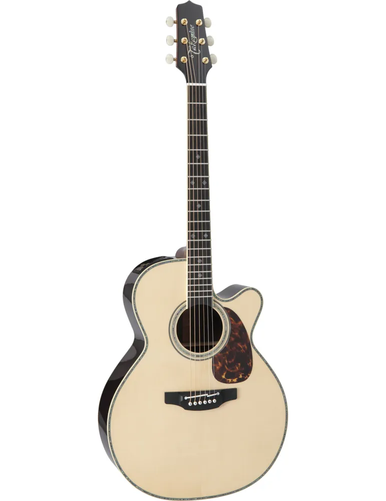 TAKAMINE RNV460C | MusicGoodDeal