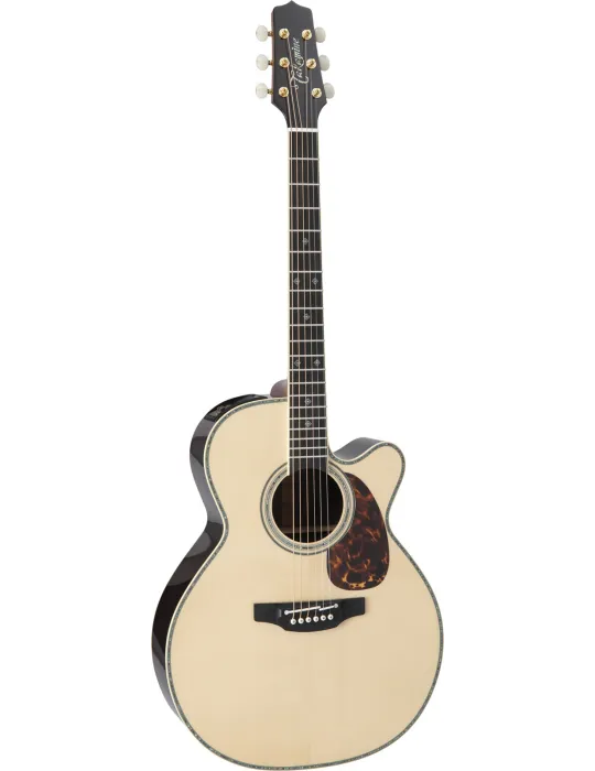 TAKAMINE RNV460C | MusicGoodDeal