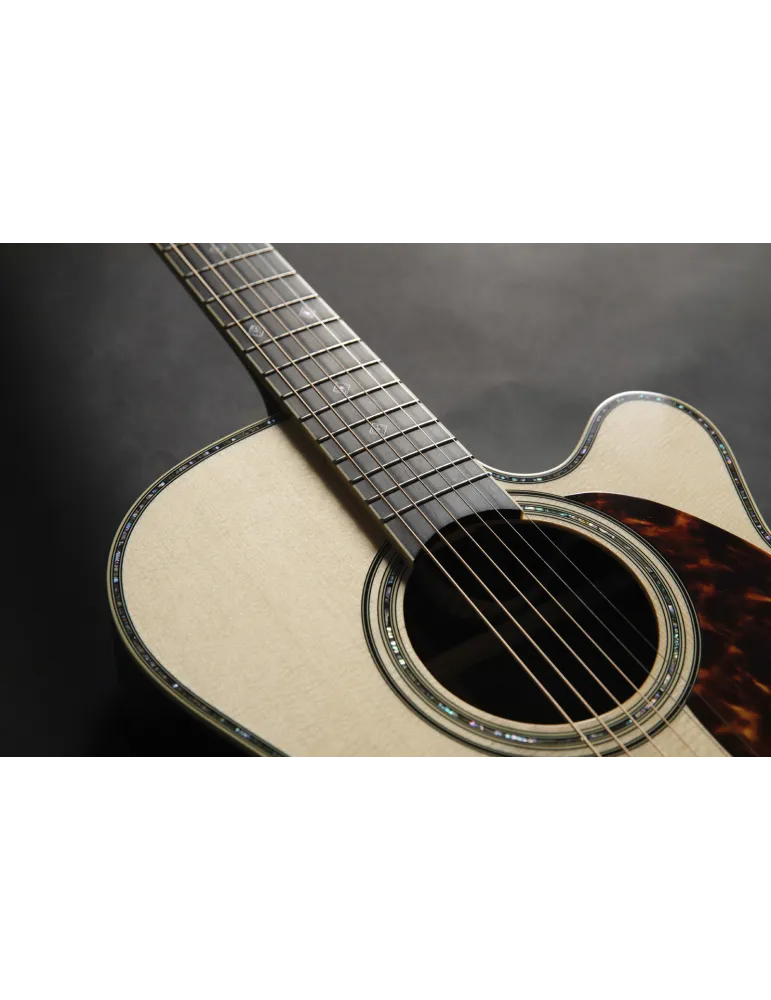 TAKAMINE RNV460C | MusicGoodDeal