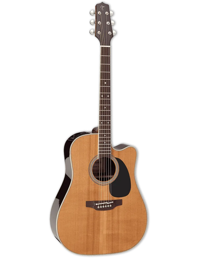 TAKAMINE EF360SC-TT | MusicGoodDeal