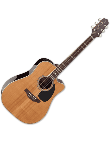 TAKAMINE EF360SC-TT | MusicGoodDeal 2