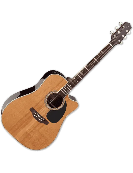 TAKAMINE EF360SC-TT | MusicGoodDeal