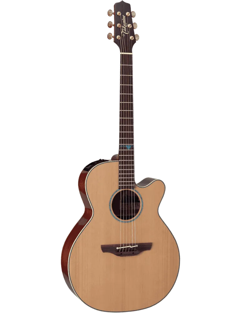 TAKAMINE FSF40C | MusicGoodDeal