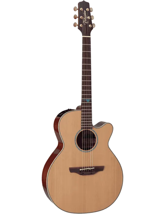 TAKAMINE FSF40C | MusicGoodDeal
