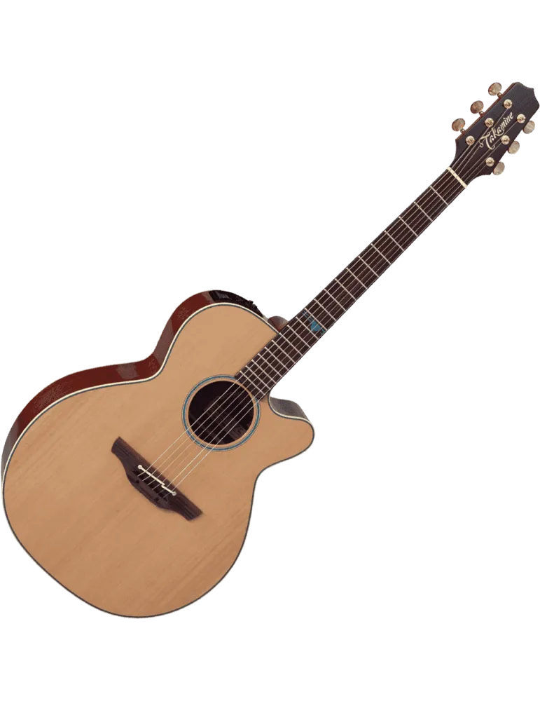 TAKAMINE FSF40C | MusicGoodDeal