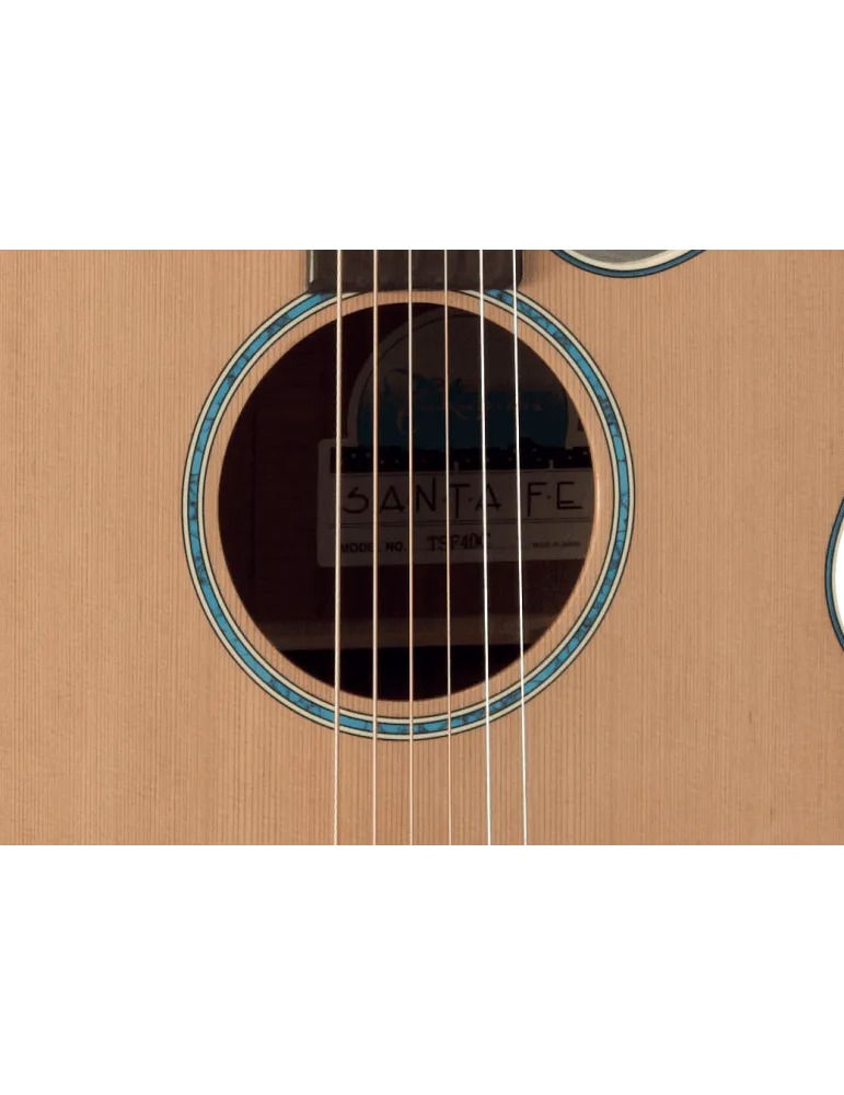 TAKAMINE FSF40C | MusicGoodDeal