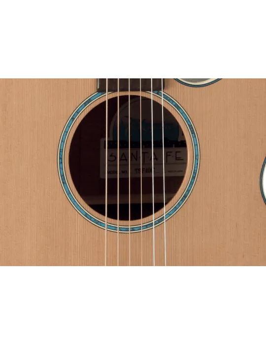 TAKAMINE FSF40C | MusicGoodDeal