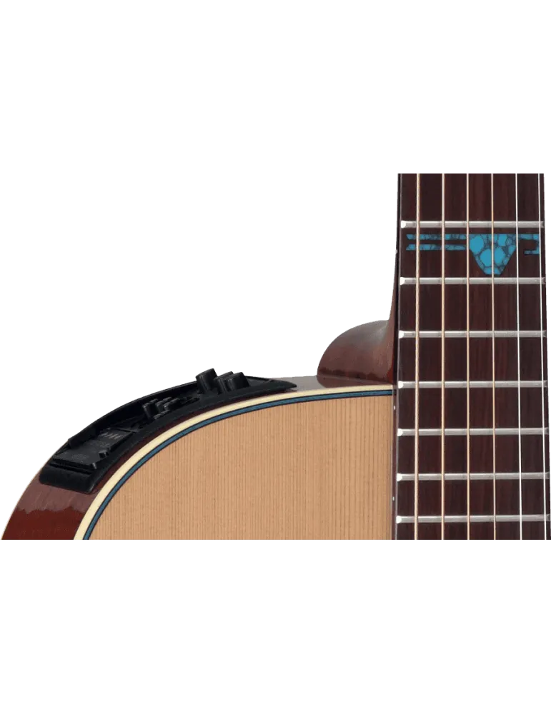 TAKAMINE FSF40C | MusicGoodDeal