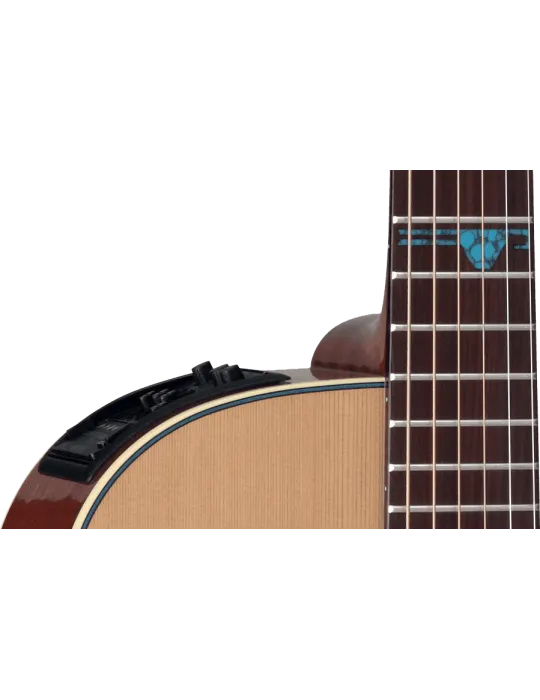 TAKAMINE FSF40C | MusicGoodDeal