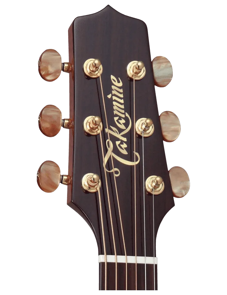 TAKAMINE FSF40C | MusicGoodDeal