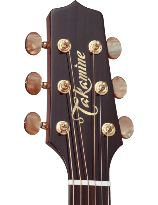 TAKAMINE FSF40C | MusicGoodDeal