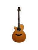 TAKAMINE FSF40C-LH | MusicGoodDeal