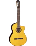 TAKAMINE GC5CENAT | MusicGoodDeal