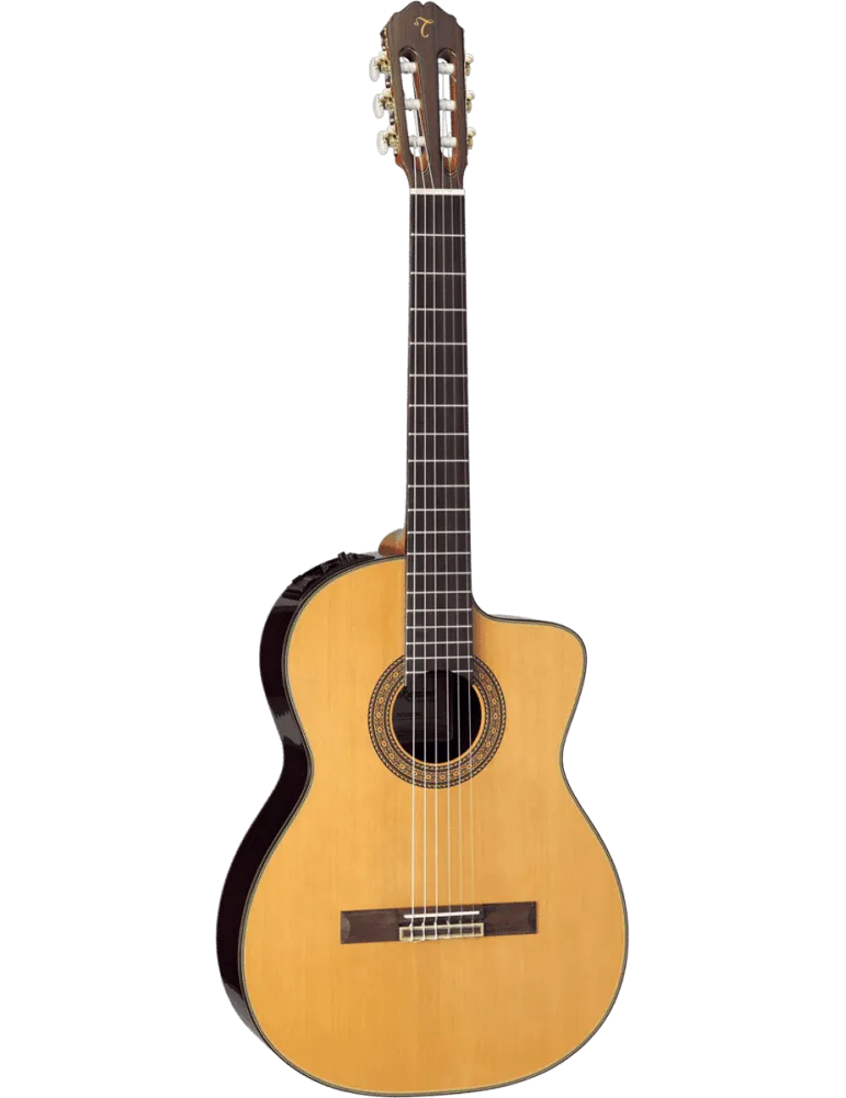 TAKAMINE EC132SC | MusicGoodDeal
