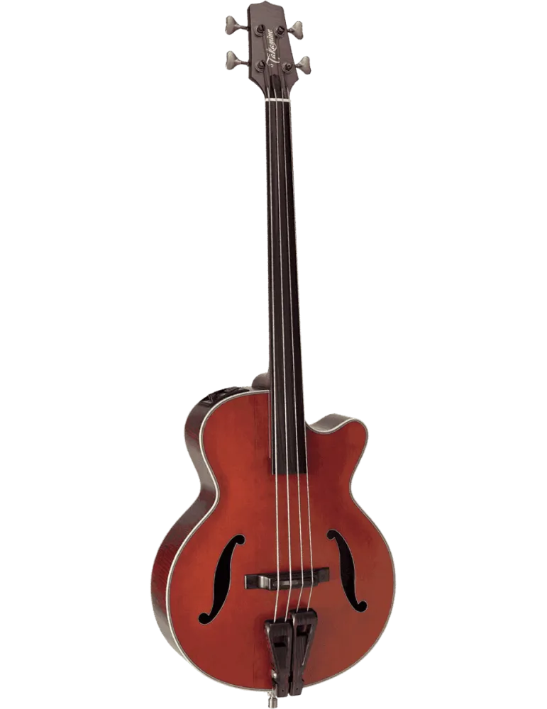 TAKAMINE DB10 | MusicGoodDeal