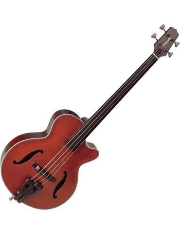 TAKAMINE DB10 | MusicGoodDeal 2