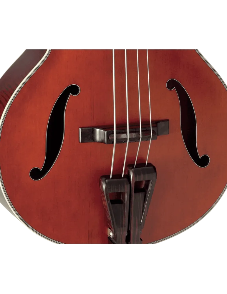 TAKAMINE DB10 | MusicGoodDeal
