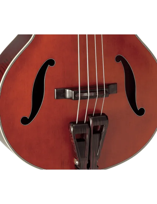 TAKAMINE DB10 | MusicGoodDeal