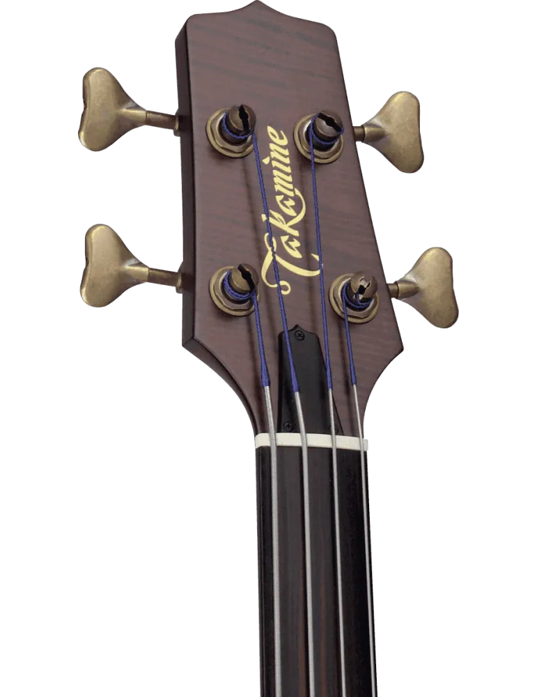 TAKAMINE DB10 | MusicGoodDeal