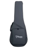 TAKAMINE SH000A | MusicGoodDeal