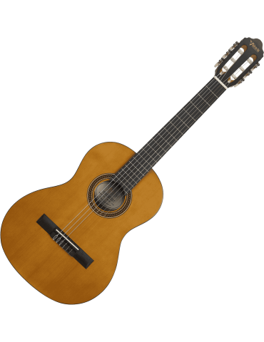 VALENCIA VC203 | MusicGoodDeal 2