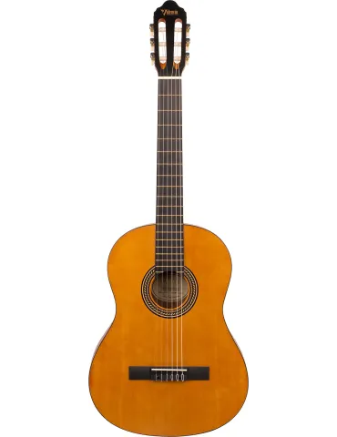 VALENCIA VC204L | MusicGoodDeal