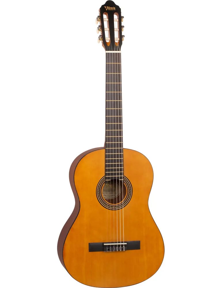 VALENCIA VC204L | MusicGoodDeal