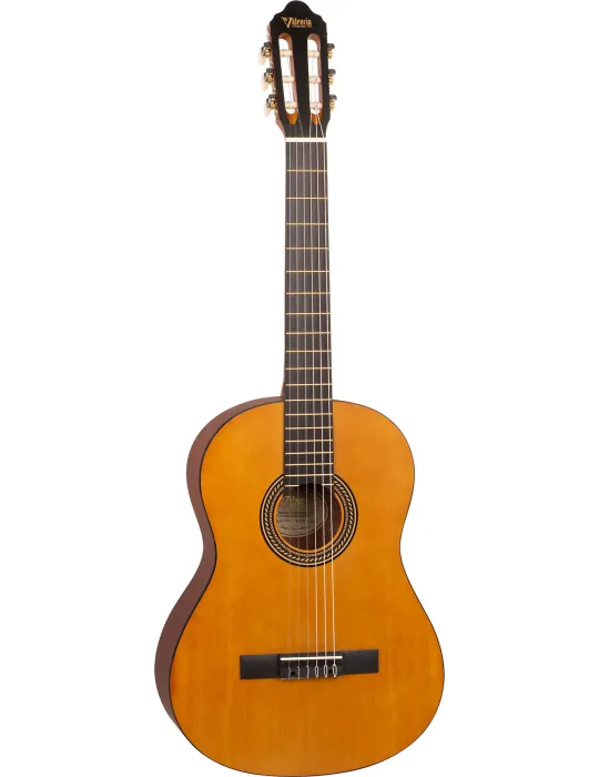 VALENCIA VC204L | MusicGoodDeal