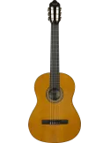 VALENCIA VC264 | MusicGoodDeal