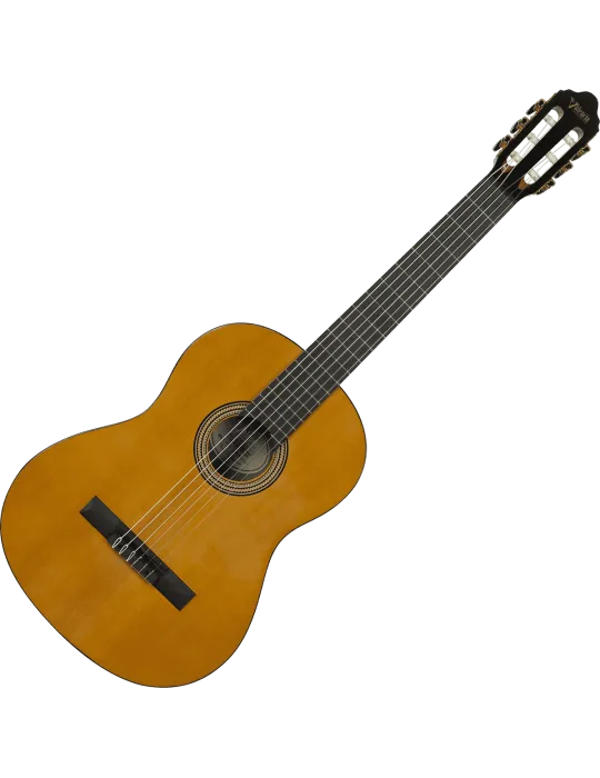 VALENCIA VC264 | MusicGoodDeal