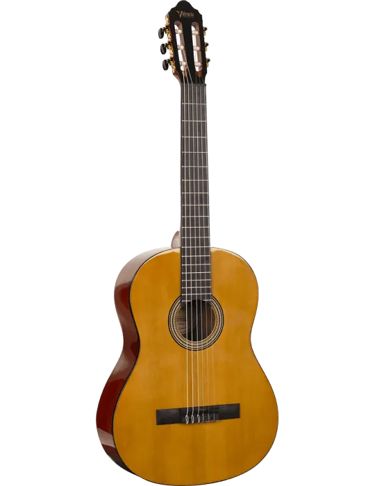 VALENCIA VC264 | MusicGoodDeal