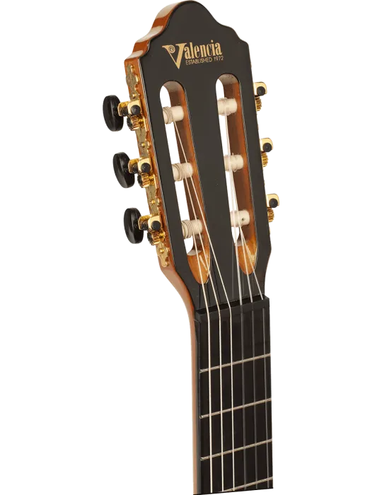 VALENCIA VC264 | MusicGoodDeal